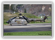 Cougar Swiss AF T-341_4